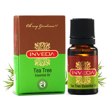 https://cdn.shopify.com/s/files/1/1857/6931/products/61UF6_CnjwS._SL1080.jpg?v=1637410537